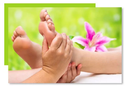 Reflexologists Email List

